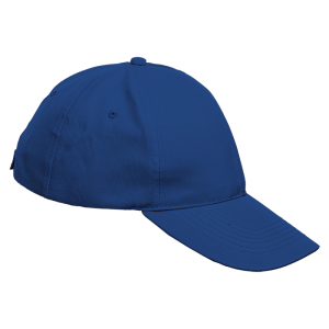 5 Panel Boost Cap