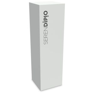 Serendipio Ramsey Recycled PET Water Bottle - 750ml