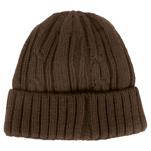 Cable Knit Beanie